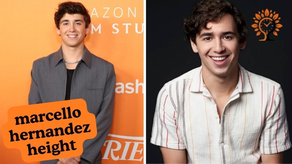 Marcello Hernandez Height, Age, Family and Career Profile Marcello Hernandez Height, Age, Family and Career Profile