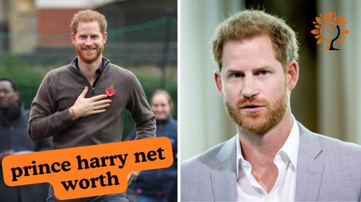 Prince Harry Net Worth: A Look at His Wealth and Investments Prince Harry Net Worth A Look at His Wealth and Investments